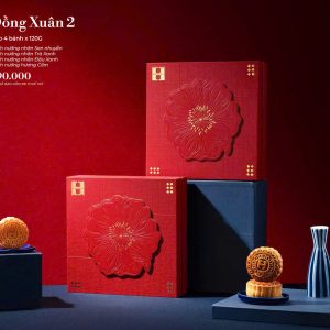 Hộp Đồng Xuân 2